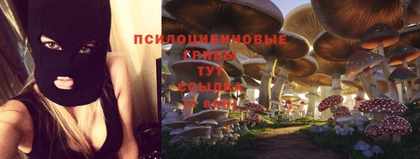 прущая мука Абинск