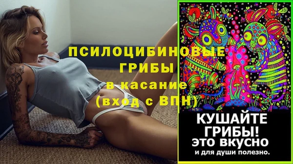 сатива Няндома