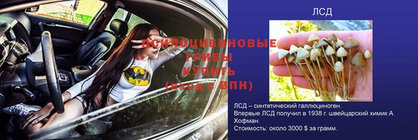 гашик Абдулино